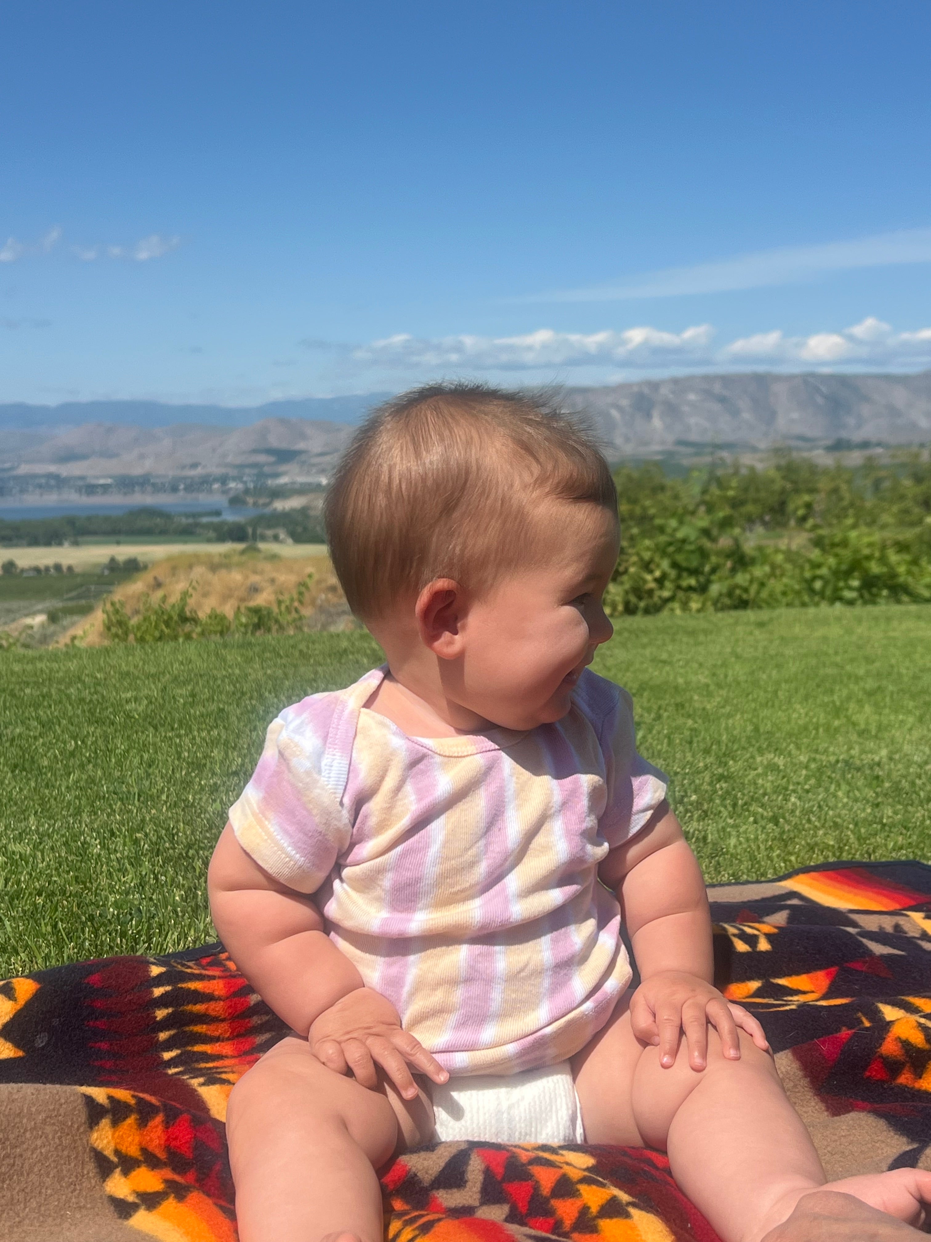 pink and cream baby lap t-shirt